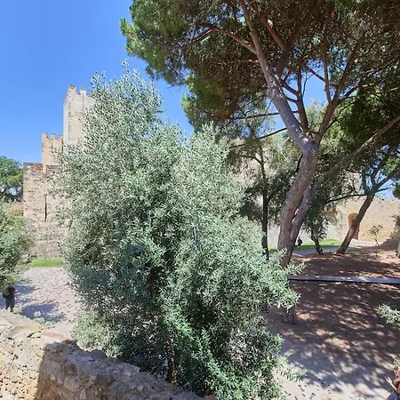 Charming Escape At Sao Jorge Castle דירה